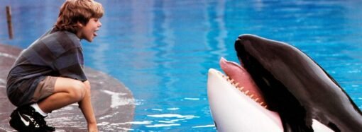 ‘Free Willy’ reboot in the works at Warner Bros.
