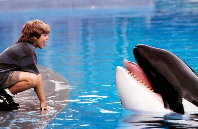 ‘Free Willy’ reboot in the works at Warner Bros.