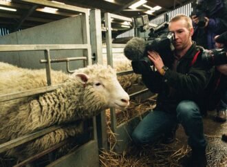From cloning to gene editing: the enduring legacy of Dolly the sheep