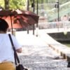 Heat wave in Europe: France records 2,000 more deaths as Europe prepares for warmer weather