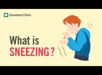 Holding back sneezes can really hurt you