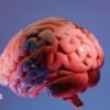 How Indian scientists are mapping the brain’s final frontier
