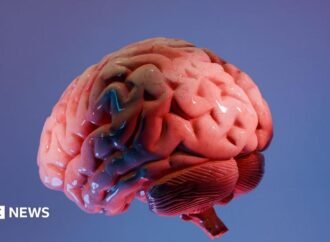 How Indian scientists are mapping the brain’s final frontier