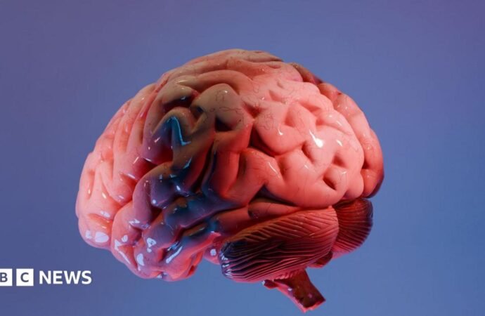 How Indian scientists are mapping the brain’s final frontier