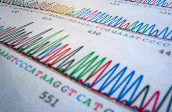 Huge study finds first genetic clues to borderline personality disorder
