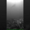 Huge whale shark just spotted in Florida