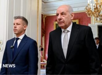 Hungarian parliament votes to remove president from office