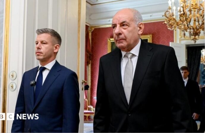 Hungarian parliament votes to remove president from office