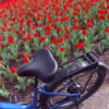 I rode this powerful electric bike for hours and my butt wasn’t mad about it.