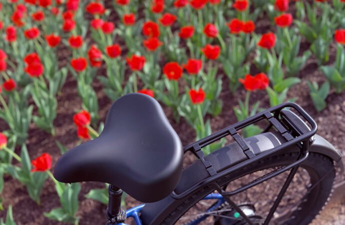 I rode this powerful electric bike for hours and my butt wasn’t mad about it.
