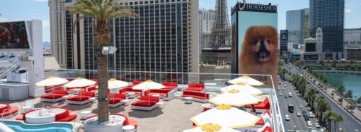I spent 2 nights at Lisa Vanderpump’s new hotel in Las Vegas. I think she’s ready to become the Queen of Sin City.