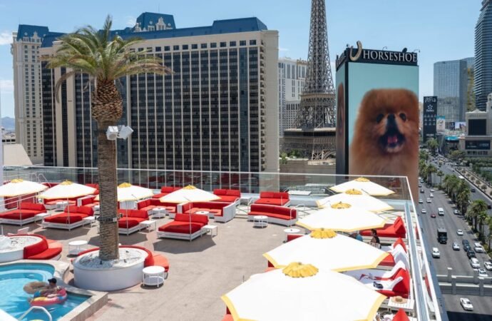 I spent 2 nights at Lisa Vanderpump’s new hotel in Las Vegas. I think she’s ready to become the Queen of Sin City.