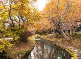 I took a day trip to three sleepy Japanese towns just a few hours from major cities, and they were the highlight of my visit.