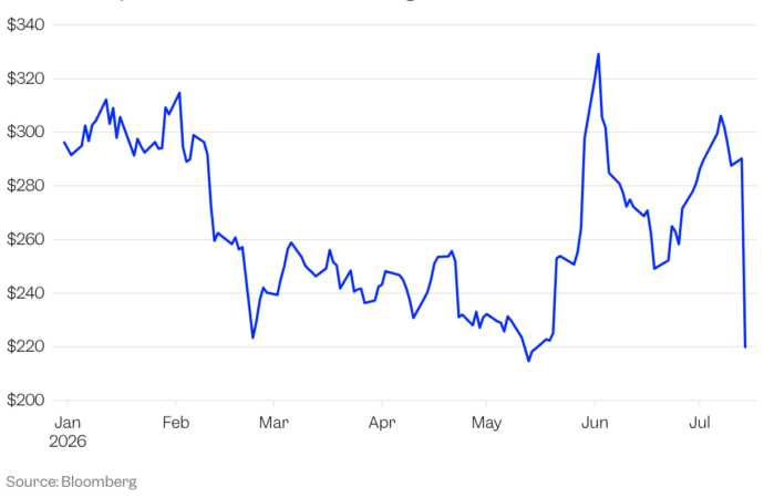 IBM shares plummet 24% as it says customers are spending less on its AI products