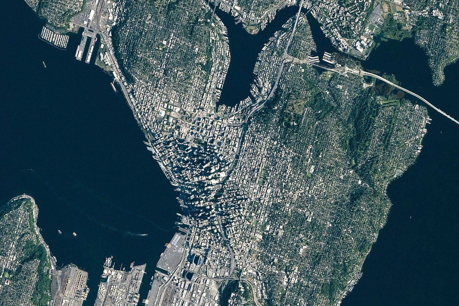 A top-down photograph focuses on downtown Seattle, where tall buildings cast long shadows. Green neighborhoods and parks surround the dense urban development, and large bodies of water lie to the east and west.