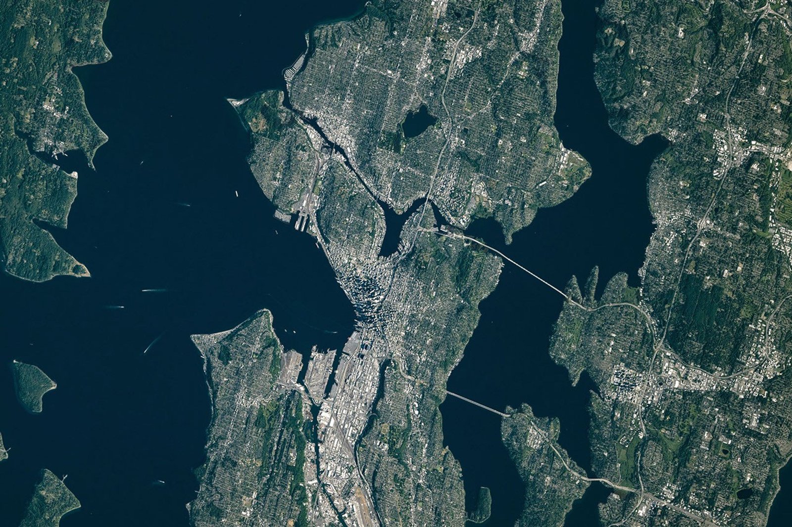 A top-down photograph of the Seattle metropolitan area shows a mix of light-colored developed areas and green parks and neighborhoods. Puget Sound and Lake Washington run along the west and east sides of Seattle, respectively.