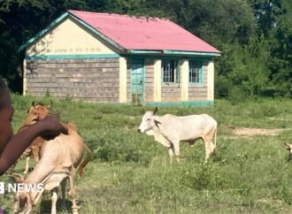 Kenya’s Vanishing Rural Schools and Why a New Curriculum May Be to Blame