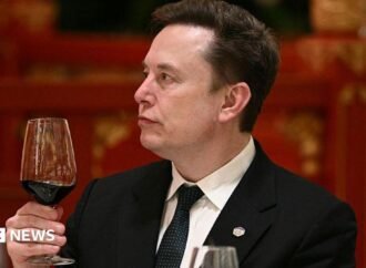 ‘Let’s enjoy the ride,’ says Elon Musk, as concerns grow over AI risk