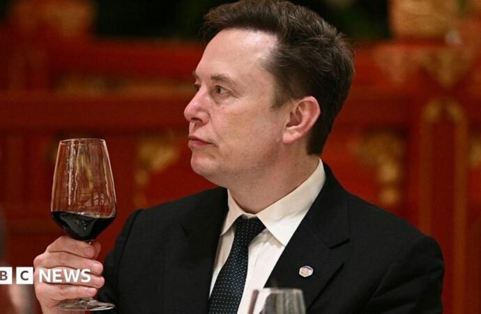 ‘Let’s enjoy the ride,’ says Elon Musk, as concerns grow over AI risk
