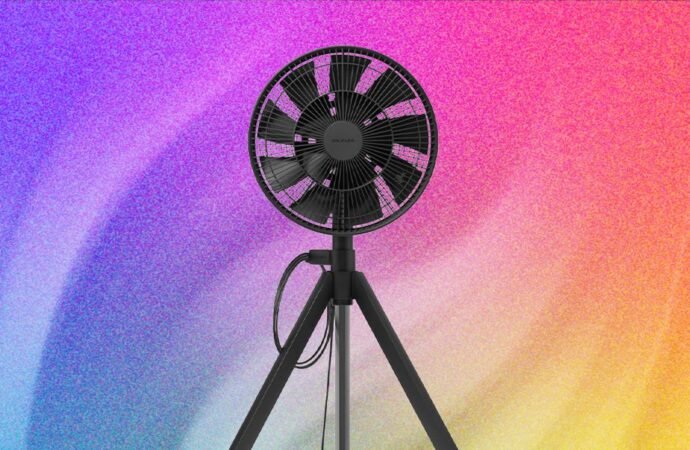 Luxury has come to the pedestal fan
