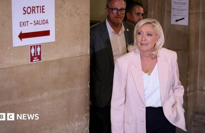Marine Le Pen to run for French presidency and appeal conviction to high court
