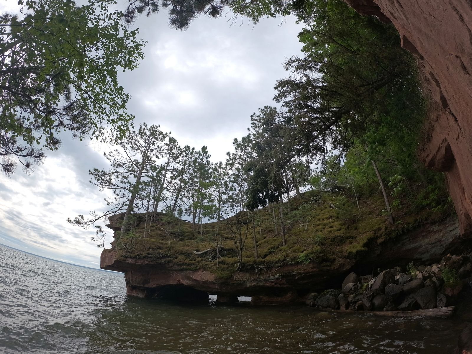 Image may contain rock Plant Vegetation Earth Nature Outdoors Landscape Desert Tree Forest and cliff
