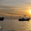 More than 500 Rohingya disappear at sea: what happened?