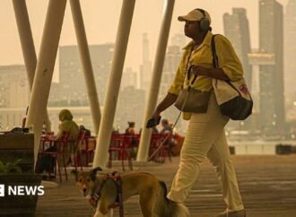More than 800 wildfires in Canada burn as air quality alerts spread to US