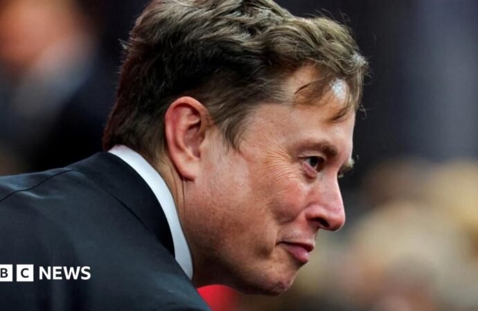 Musk takes his ‘crusade’ to Europe with Armie Hammer’s film