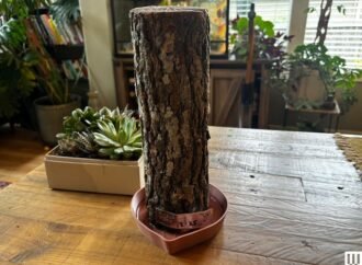 My year growing mushrooms wrong