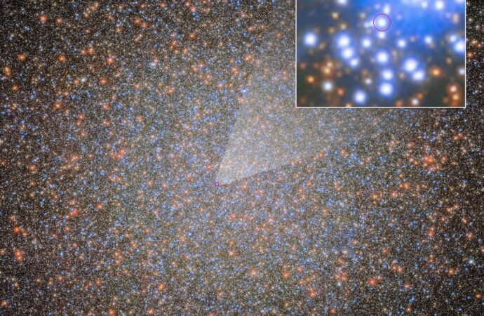 NASA Hubble Discovers First of Star Cluster’s Missing Black Holes – NASA Science