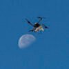 NASA uses subscale aircraft to accelerate flight innovation – NASA