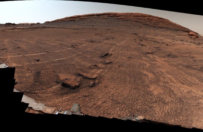 NASA’s Curiosity Mars Rover Discovers a Field of Honeycomb Textures – NASA