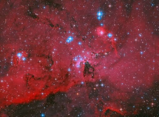 NASA’s Hubble captures a crimson cloud glowing with white and blue stars