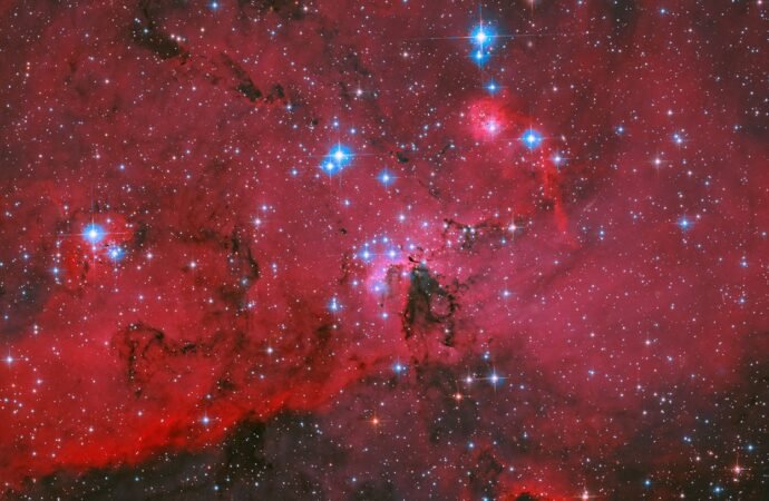 NASA’s Hubble captures a crimson cloud glowing with white and blue stars