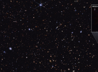 NASA’s Webb Explores Family Tree of Newly Discovered Distant Objects – NASA Science