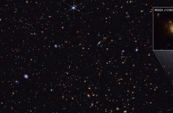 NASA’s Webb Explores Family Tree of Newly Discovered Distant Objects – NASA Science