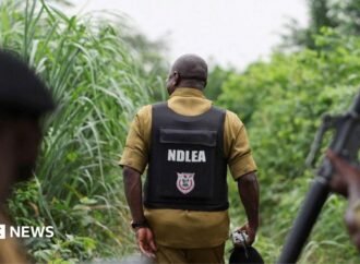 Nigerian Drug Trade: How Mexican Cartels Have Outsourced Methamphetamine Labs