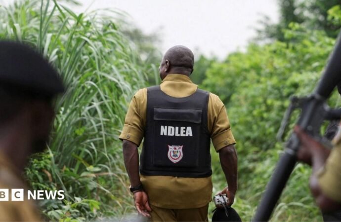 Nigerian Drug Trade: How Mexican Cartels Have Outsourced Methamphetamine Labs