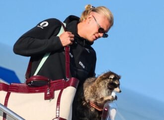 Norwegian Erling Haaland brought home a stuffed raccoon for $750 from the World Cup