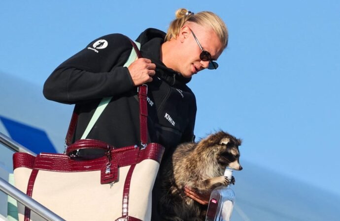 Norwegian Erling Haaland brought home a stuffed raccoon for $750 from the World Cup