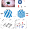 Observation of Floquet rotational superradiance – Nature