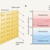 Optical filter classifies light based on its ‘quantum statistics’