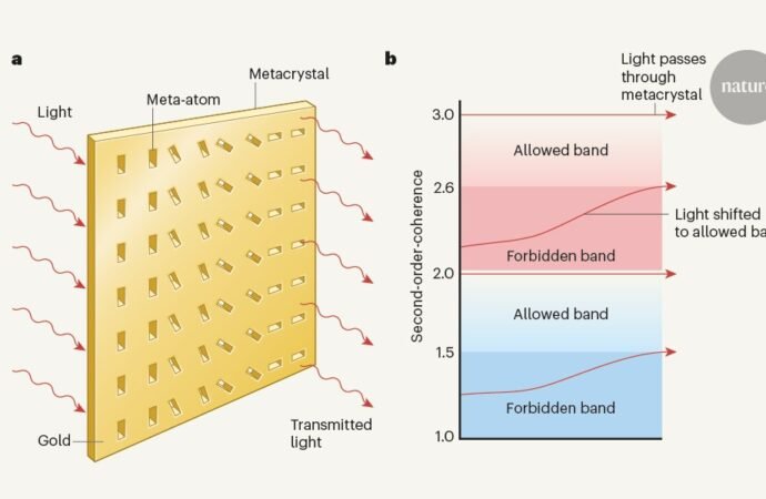 Optical filter classifies light based on its ‘quantum statistics’