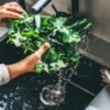 Parasite that causes diarrhea detected in 31 states: how to prepare food and what to avoid