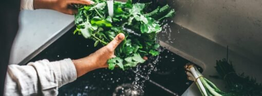 Parasite that causes diarrhea detected in 31 states: how to prepare food and what to avoid