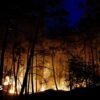 Planes sent to fight forest fires of ‘exceptional scale’ near Paris