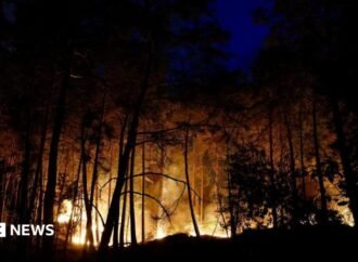 Planes sent to fight forest fires of ‘exceptional scale’ near Paris