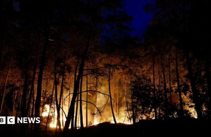 Planes sent to fight forest fires of ‘exceptional scale’ near Paris