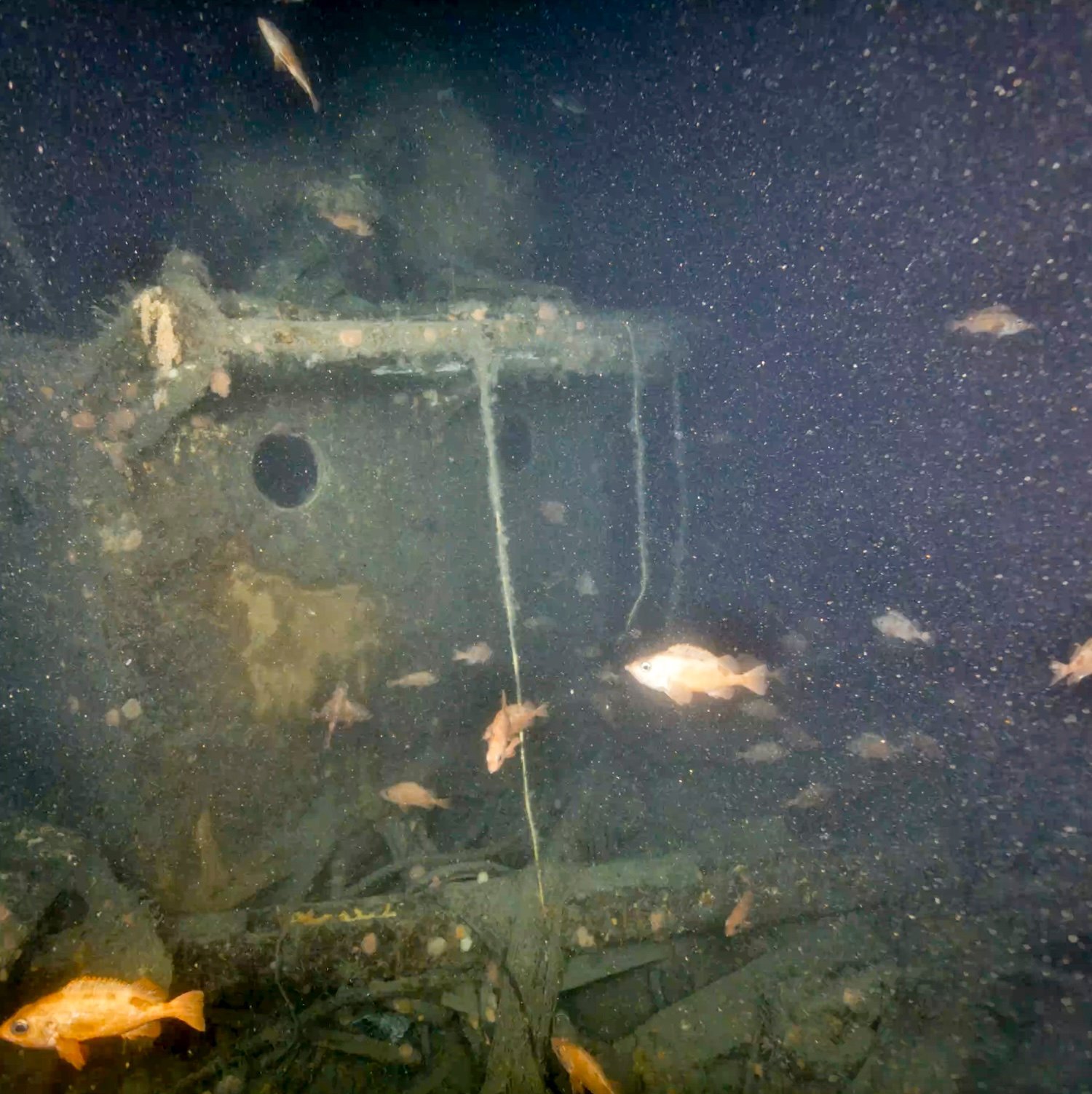 Hull and portholes from the Quest wreck